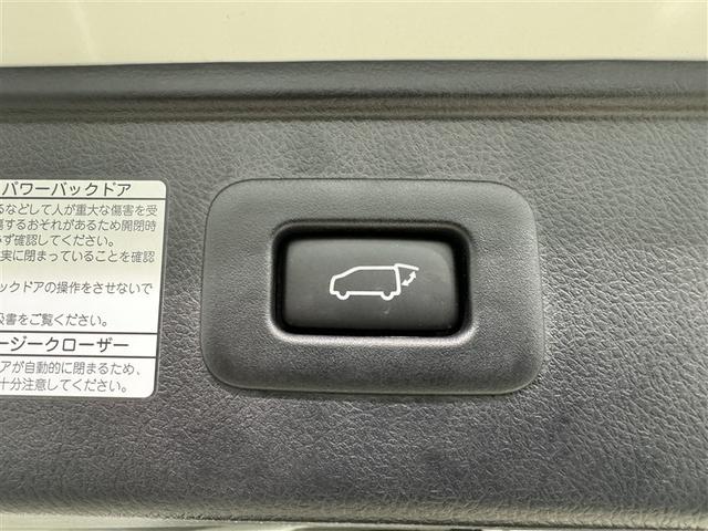 アルファード ２．５Ｓ　Ｃパッケージ　衝突被害軽減システム　メモリーナビ　フルセグ　バックカメラ　ＥＴＣ　ドラレコ　ＣＤ　ミュージックプレイヤー接続可　ＤＶＤ再生　後席モニター　サンルーフ　電動シート　オートクルーズコントロール　キーレス（35枚目）