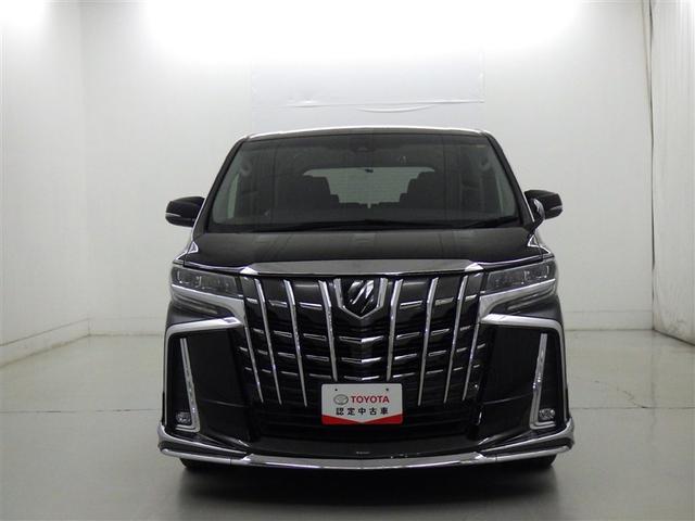 �A���t�@�[�h�Ȃ�ł͂̑�_���A�N�̂���؂₩�������o���Ă��܂��B