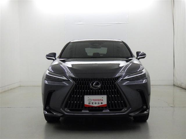 �X�s���h���O���������N�T�X�炵�����������܂��B