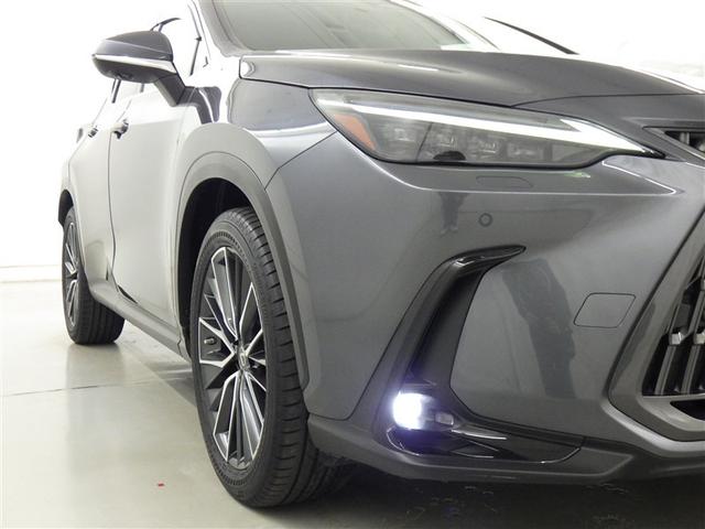 �t�H�O�����v�����Ԃł��B�Â��铹�̎ԗ��O���𖾂邭�Ƃ炵�܂�