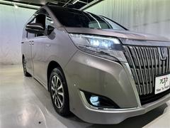 �̣ţĥإåɥ饤�ȤǤ����ǥ����������褯�ȤƤ����뤤�Τǡ���֤����Ԥ䰭ŷ���Ǥ�¿��Ǥ���������Ĺ��̿�� 7