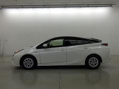 ���Ͽ͵��Υۥ磻�ȥѡ��륯�ꥹ���륷�㥤��Ǥ��� 5