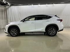 Σ Σأ衡ƥݡġﳲڸƥࡡ꡼ʥӡե륻 0201569A20251107T002 4