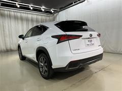 Σ Σأ衡ƥݡġﳲڸƥࡡ꡼ʥӡե륻 0201569A20251107T002 5