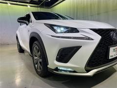 Σ Σأ衡ƥݡġﳲڸƥࡡ꡼ʥӡե륻 0201569A20251107T002 7