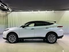 ���Ͽ͵��Υۥ磻�ȥѡ��륯�ꥹ���륷�㥤��Ǥ��� 5