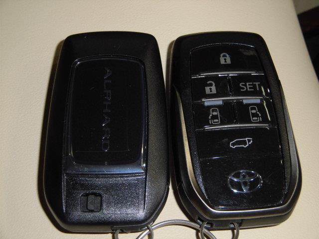 2.5G フルセグ メモリーナビ DVD再生 ミュージックプレイヤー接続可 後席モニター バックカメラ 衝突被害軽減システム ETC 両側電動スライド LEDヘッドランプ 乗車定員7人 3列シート(19枚目)
