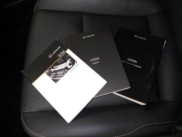 UX UX250h バージョンC 衝突被害軽減システム メモリーナビ フルセグ バックカメラ ETC CD ミュージックプレイヤー接続可 DVD再生 電動シート オートクルーズコントロール LEDヘッドランプ スマートキー キーレス(32枚目)