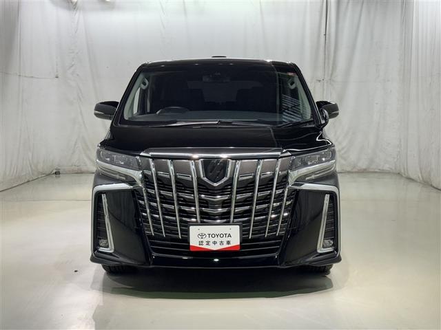 �A���t�@�[�h�Ȃ�ł͂̑�_���A�N�̂���؂₩�������o���Ă��܂��B