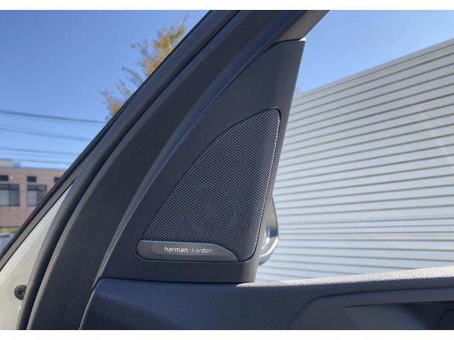 Ｘ５ ｘＤｒｉｖｅ　４５ｅ　黒革　パノラマサンルーフ　全周囲カメラ　ソフトクローズドア　アクティブクルーズコントロール　ハーマンカードン　Ｆシートヒータ　リアサイド・ローラーウインド　２－ＡＸＬＥエアサス　フルセグ　２０ＡＷ（31枚目）