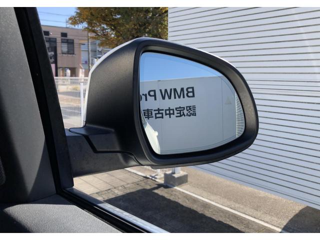 Ｘ５ ｘＤｒｉｖｅ　４５ｅ　黒革　パノラマサンルーフ　全周囲カメラ　ソフトクローズドア　アクティブクルーズコントロール　ハーマンカードン　Ｆシートヒータ　リアサイド・ローラーウインド　２－ＡＸＬＥエアサス　フルセグ　２０ＡＷ（32枚目）