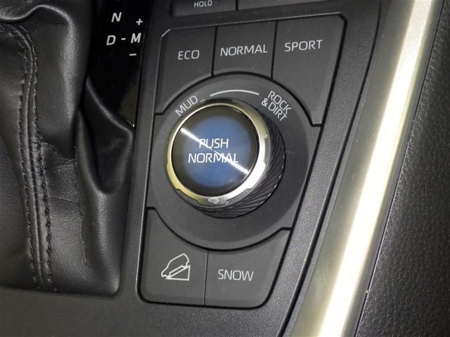 ＲＡＶ４ アドベンチャー　衝突被害軽減システム　メモリーナビ　フルセグ　バックカメラ　ＥＴＣ　ドラレコ　ＣＤ　ＬＥＤヘッドランプ　スマートキー　キーレス　４ＷＤ（16枚目）