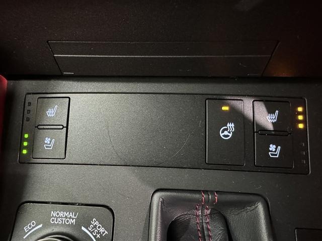 ＲＣ ＲＣ３００　Ｆスポーツ　衝突被害軽減システム　メモリーナビ　フルセグ　バックカメラ　ＥＴＣ　ＣＤ　ミュージックプレイヤー接続可　サンルーフ　革シート　電動シート　オートクルーズコントロール　ＬＥＤヘッドランプ　スマートキー（18枚目）