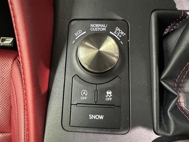 ＲＣ ＲＣ３００　Ｆスポーツ　衝突被害軽減システム　メモリーナビ　フルセグ　バックカメラ　ＥＴＣ　ＣＤ　ミュージックプレイヤー接続可　サンルーフ　革シート　電動シート　オートクルーズコントロール　ＬＥＤヘッドランプ　スマートキー（20枚目）