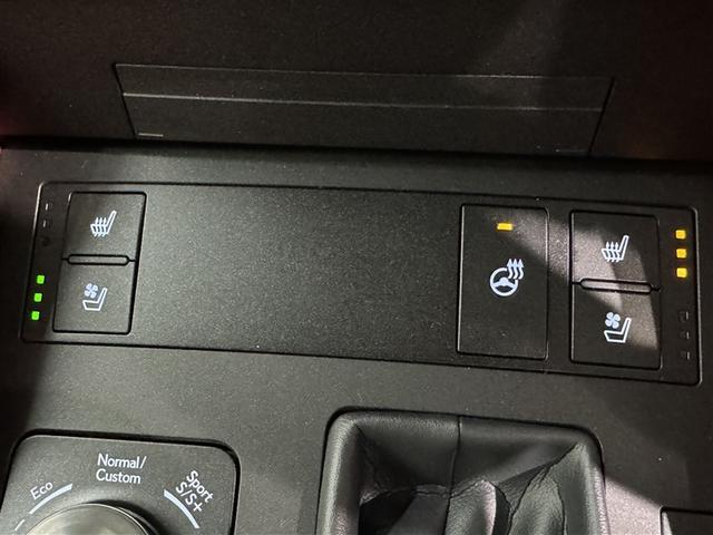 ＲＣ ＲＣ３００　Ｆスポーツ　衝突被害軽減システム　メモリーナビ　フルセグ　バックカメラ　ＥＴＣ　ＣＤ　ミュージックプレイヤー接続可　ＤＶＤ再生　革シート　電動シート　オートクルーズコントロール　ＬＥＤヘッドランプ　スマートキー（16枚目）