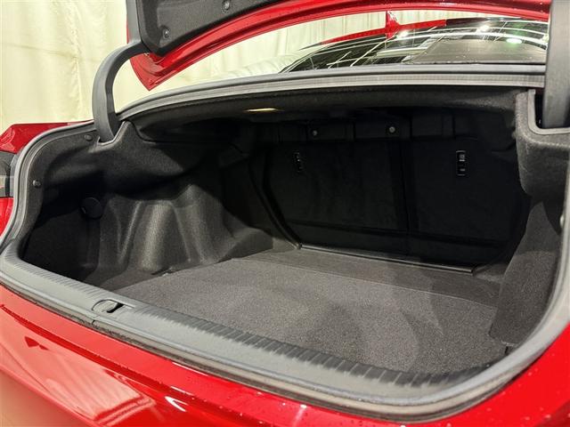 ＲＣ ＲＣ３００　Ｆスポーツ　衝突被害軽減システム　メモリーナビ　フルセグ　バックカメラ　ＥＴＣ　ＣＤ　ミュージックプレイヤー接続可　ＤＶＤ再生　革シート　電動シート　オートクルーズコントロール　ＬＥＤヘッドランプ　スマートキー（32枚目）