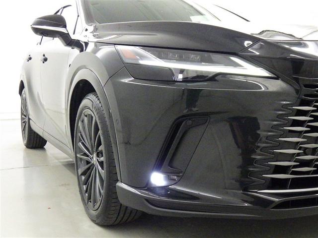 �t�H�O�����v�����Ԃł��B�Â��铹�̎ԗ��O���𖾂邭�Ƃ炵�܂�