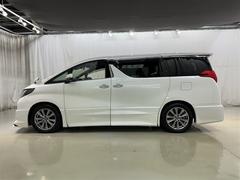 ���Ͽ͵��Υۥ磻�ȥѡ��륯�ꥹ���륷�㥤��Ǥ��� 5