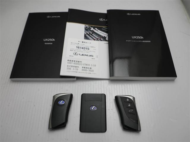 UX UX250h バージョンC バックモニター 地デジ 盗難防止システム LED キーレス ETC AUX スマートキー ナビ&TV 電動シート ESC アルミホイール DVD メモリーナビ ABS エアバッグ サイドエアバッグ(29枚目)