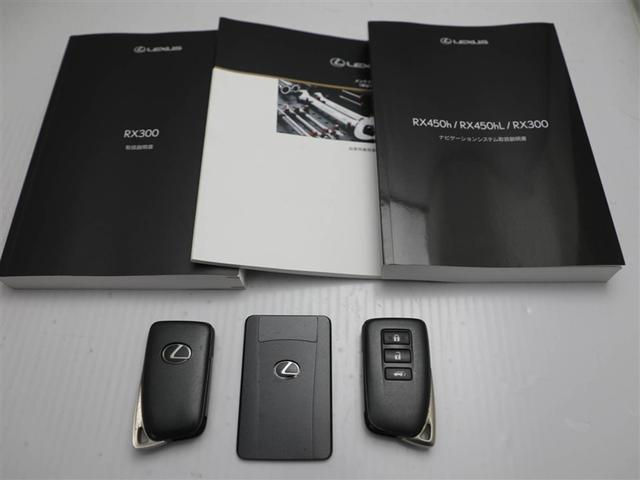 ＲＸ ＲＸ３００　バージョンＬ　メモリナビ　バックモニター　クルーズコントロール　本革　地デジ　パワーシート　ＤＶＤ再生　ＥＴＣ　アイドリングストップ　ミュージックプレイヤー接続可　キーレス　横滑り防止装置　エアバッグ　ＡＷ　ＡＢＳ（29枚目）