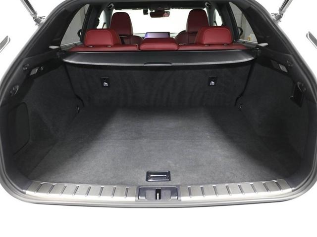 ＲＸ ＲＸ３００　Ｆスポーツ　プリクラッシュ　ＡＷ　Ｂカメラ　１オナ　ＡＣ１００Ｖ電源　ＥＴＣ車載器　オートクルーズ　横滑り防止装置　エアバック　ナビ＆ＴＶ　キーレス　Ｐシート　ＬＥＤヘッドランプ　オートエアコン　ＡＢＳ　全席ＰＷ（21枚目）