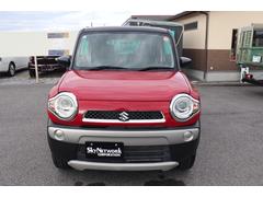 ������Ϻ��ե���ȥɥ��դ�η�����ʪ�Ǥ��������Ԥˤϻپ�Ϥ���ޤ���Τǡ��¿����Ƥ���겼�����͡ʡ����������ݾ��դ�����Ǥ��衪�� 2