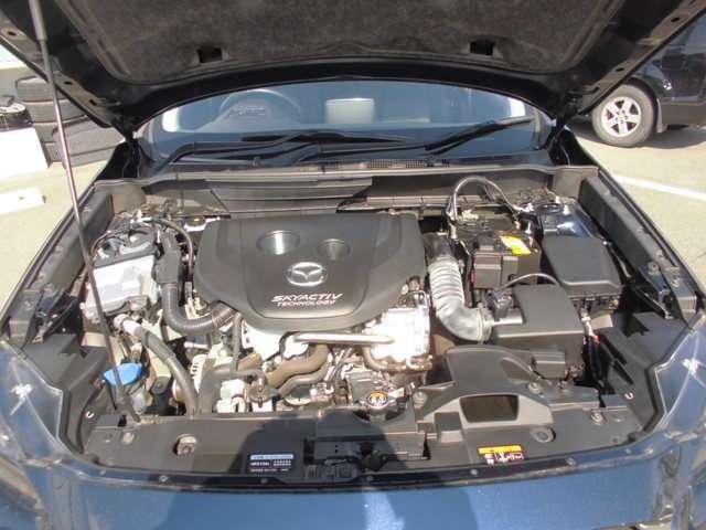 1.5 XD ディーゼルターボ 4WD(17枚目)