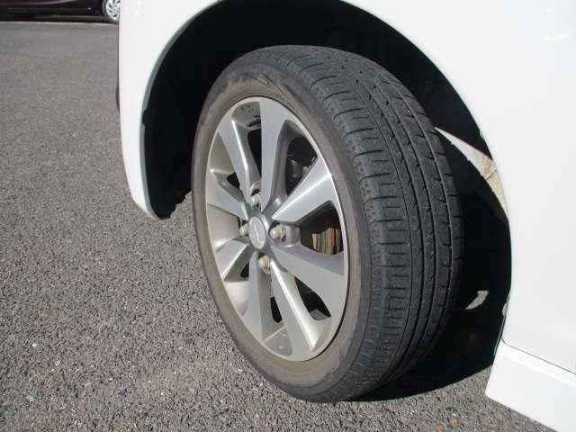 �t�����g�^�C���̎ʐ^�ł��B