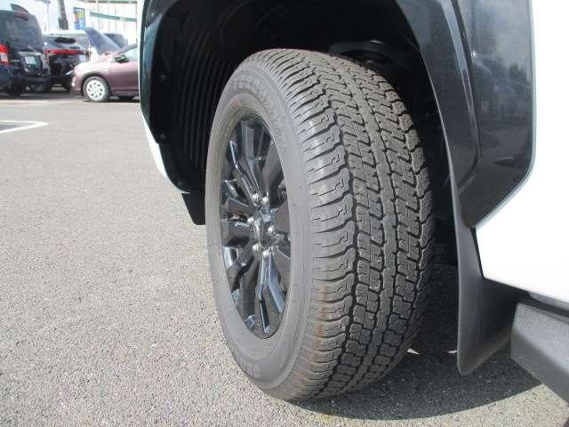 �t�����g�^�C���̎ʐ^�ł��B