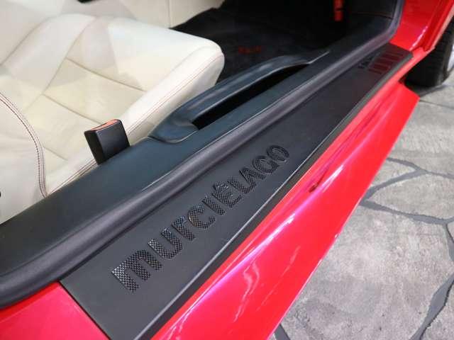 ムルシエラゴ ６．２　４ＷＤ　６ＭＴ　正規Ｄ車　特注カラー　走行３９７００ｋｍ　（ＲＯＳＳＯ・ＲＯＡＤＳ）（46枚目）