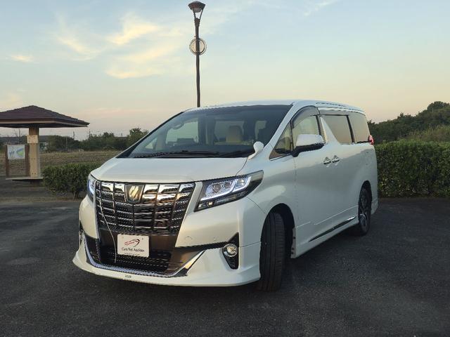 アルファードハイブリッド Ｇ　フルモデリスタエアロ　レーダークルーズコントロール　プリクラッシュセーフティ　ＡＬＰＩＮＥフリップダウンモニター　両側パワースライドドア　前後シーケンシャルウィンカー　パワートランク　フルセグテレビ（6枚目）