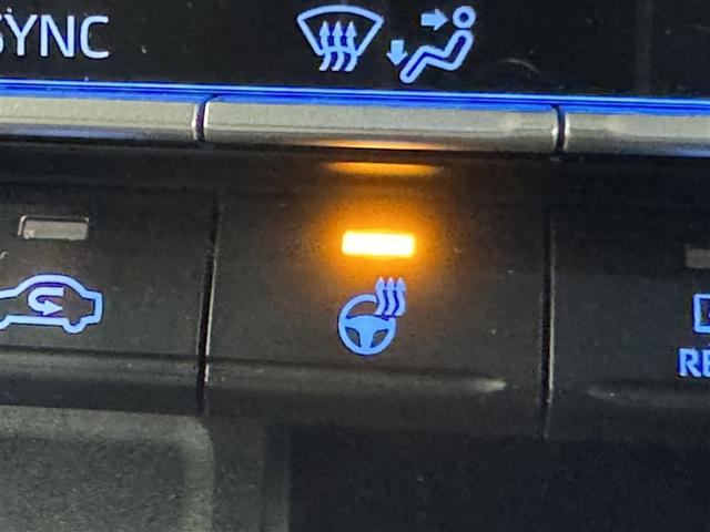 ノア ハイブリッドＳ－Ｚ　衝突被害軽減システム　フルセグ　バックカメラ　ＥＴＣ　ＣＤ　ミュージックプレイヤー接続可　ＤＶＤ再生　後席モニター　オートクルーズコントロール　ＬＥＤヘッドランプ　両側電動スライド　乗車定員７人（19枚目）