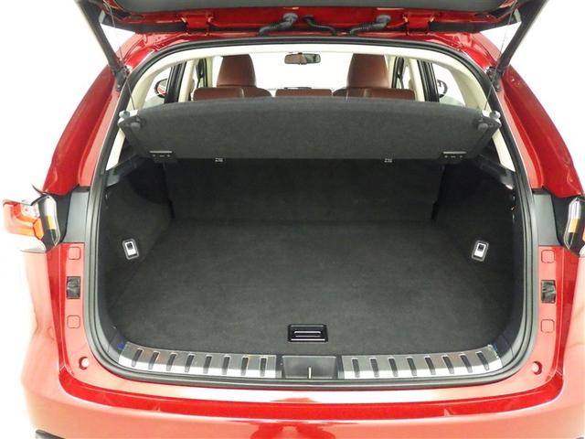 NX NX200t Iパッケージ メモリーナビ フルセグ バックカメラ ETC CD ミュージックプレイヤー接続可 DVD再生 オートクルーズコントロール LEDヘッドランプ スマートキー キーレス アイドリングストップ(28枚目)