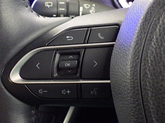 ヴォクシー Ｓ－Ｚ　衝突被害軽減システム　フルセグ　バックカメラ　ＥＴＣ　ＣＤ　ミュージックプレイヤー接続可　ＤＶＤ再生　後席モニター　オートクルーズコントロール　ＬＥＤヘッドランプ　両側電動スライド　乗車定員７人（17枚目）