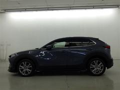 ή褦ʥܥǥ饤̥ŪǾߤꤷ䤹ξǤ 4