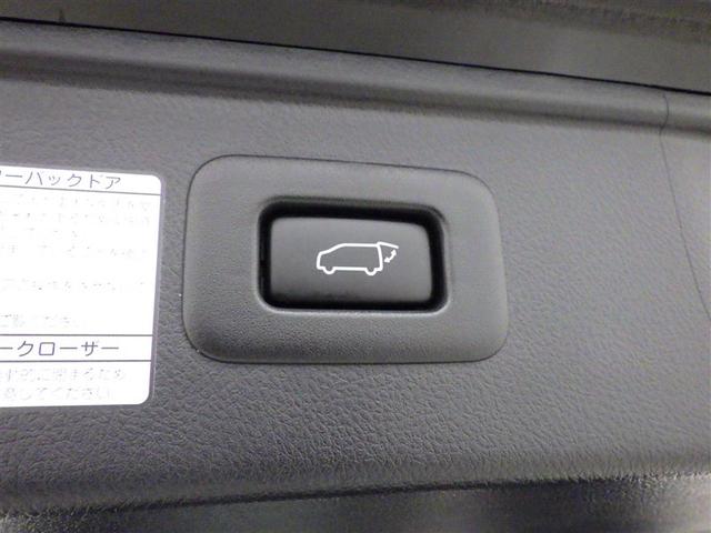 アルファード 2.5S タイプゴールド 衝突被害軽減システム フルセグ バックカメラ ETC CD ミュージックプレイヤー接続可 DVD再生 後席モニター オートクルーズコントロール LEDヘッドランプ 両側電動スライド 乗車定員7人(29枚目)