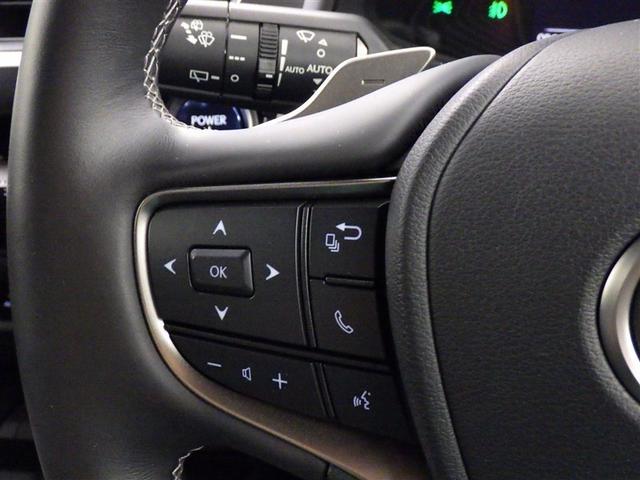 UX UX250h アーバンエレガンス 衝突被害軽減システム メモリーナビ フルセグ バックカメラ ETC ドラレコ CD ミュージックプレイヤー接続可 DVD再生 電動シート オートクルーズコントロール LEDヘッドランプ スマートキー(19枚目)