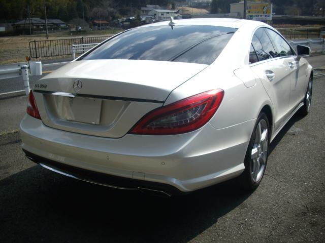 CLS350ブルーエフィシェンシAMGスポーツパケジ(18枚目)