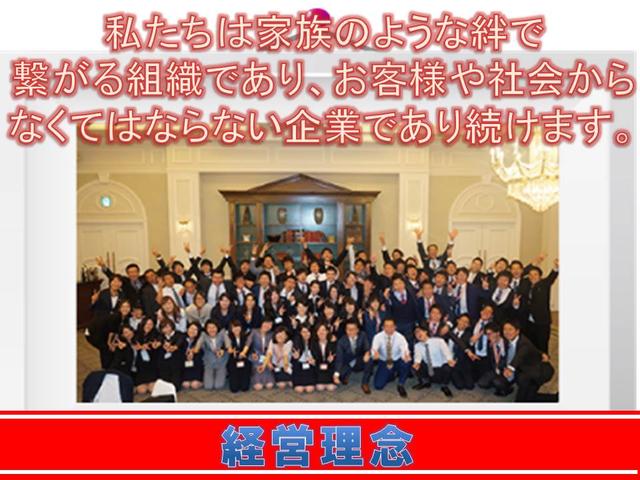 ハイブリッドMZ アイドリングS クルコン 盗難防止システム キーレス ABS オートライト エアコン 衝突安全ボディ フルフラット(24枚目)