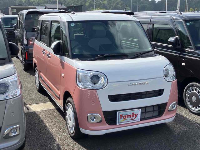 ムーヴキャンバス ストライプスＧ　届け出済み未使用車　バックカメラ　両側電動スライドドア　ナビ　クリアランスソナー　衝突被害軽減システム　オートライト　ＬＥＤヘッドランプ　スマートキー　アイドリングストップ　電動格納ミラー（19枚目）