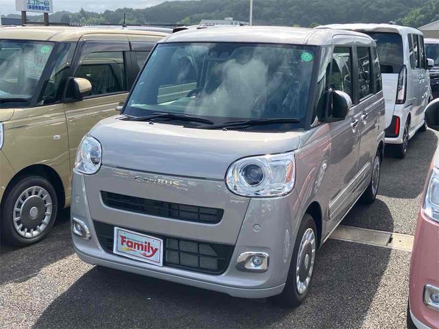 ムーヴキャンバス セオリーＧ　届け出済み未使用車　バックカメラ　両側電動スライドドア　クリアランスソナー　衝突被害軽減システム　オートライト　ＬＥＤヘッドランプ　スマートキー　アイドリングストップ　電動格納ミラー　シートヒーター（16枚目）