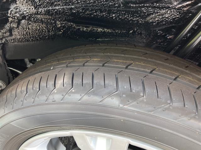 タフト Ｇ　届け出済み未使用車　バックカメラ　ＴＶ　クリアランスソナー　オートクルーズコントロール　衝突被害軽減システム　オートライト　ＬＥＤヘッドランプ　ヘッドライトウォッシャー　スマートキー（41枚目）
