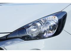  ǡǡǣ󡡥ȥ西եƥ󥹡סե륻ʥӣԣ 0202116A30251211W001 7