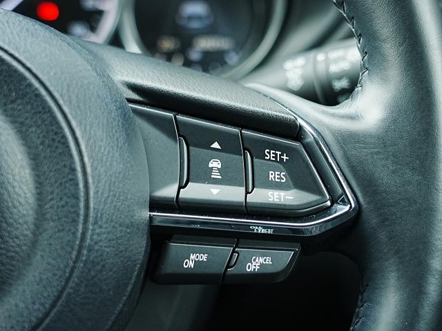 ステアリングには各種スイッチを配置。左手は主にオーディオの操作を、右手は「レーダークルーズコントロール」の操作を行えます。