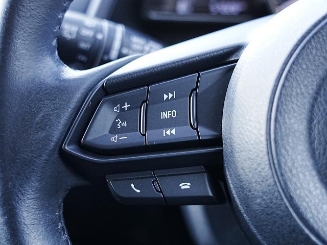 ＣＸ－３ １５Ｓ　ツーリング　衝突被害軽減システム　全周囲カメラ　オートマチックハイビーム　バックカメラ　オートライト　ＬＥＤヘッドランプ　Ｂｌｕｅｔｏｏｔｈ（14枚目）