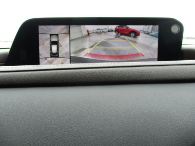 �h���C�o�[�̎��p���J�o�[���Ă����R�U�O°�r���[���j�^�[���ځ�