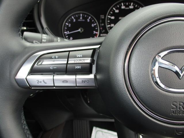 �X�e�A�����O�I�[�f�B�I�X�C�b�`���ځ�a�����������������ڑ�����ƃn���Y�t���[�ʘb���s���܂���