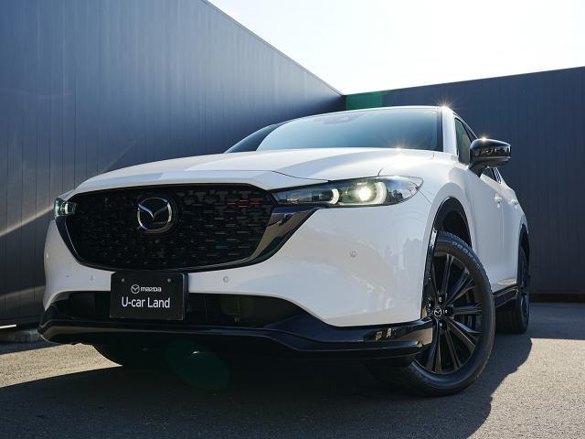 ＣＸ－５ ２５Ｓ　スポーツアピアランス　衝突被害軽減システム　アダプティブクルーズコントロール　全周囲カメラ　オートマチックハイビーム　革シート　電動シート　シートヒーター　バックカメラ　オートライト　ＬＥＤヘッドランプ　ＥＴＣ（18枚目）