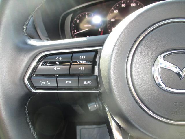 �X�e�A�����O�I�[�f�B�I�X�C�b�`���ځ��a�����������������ڑ�����ƃn���Y�t���[�ʘb���s���܂���