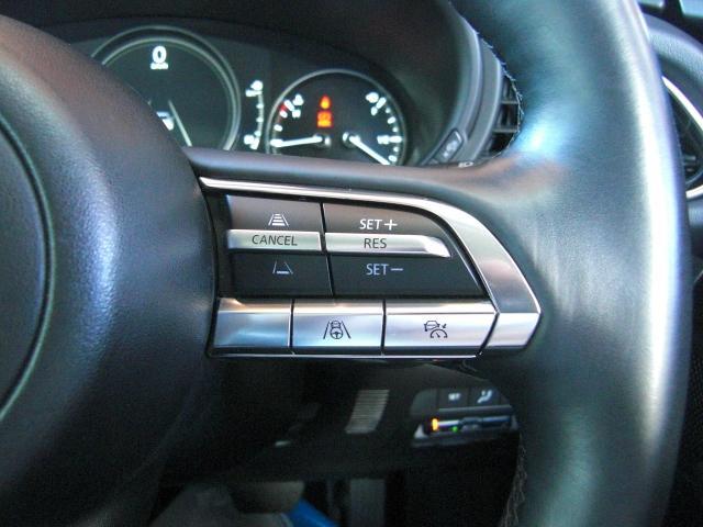 ＣＸ－３０ ２０Ｓ　ブラックトーンエディション　衝突被害軽減システム　アダプティブクルーズコントロール　全周囲カメラ　電動シート　シートヒーター　バックカメラ　オートライト　ＬＥＤヘッドランプ　ＥＴＣ　Ｂｌｕｅｔｏｏｔｈ　電動リアゲート（11枚目）